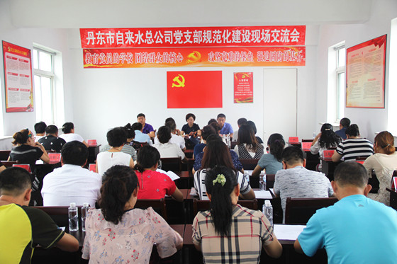 黨支部規(guī)范化建設交流_副本